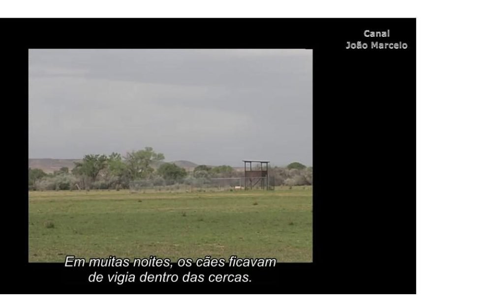 436a87857b0022ff77b474265e6725ba1537371246