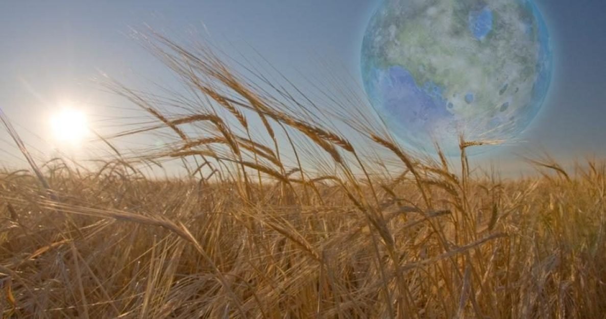 5657e74fef3e0758406b7ba42663ee541650888084