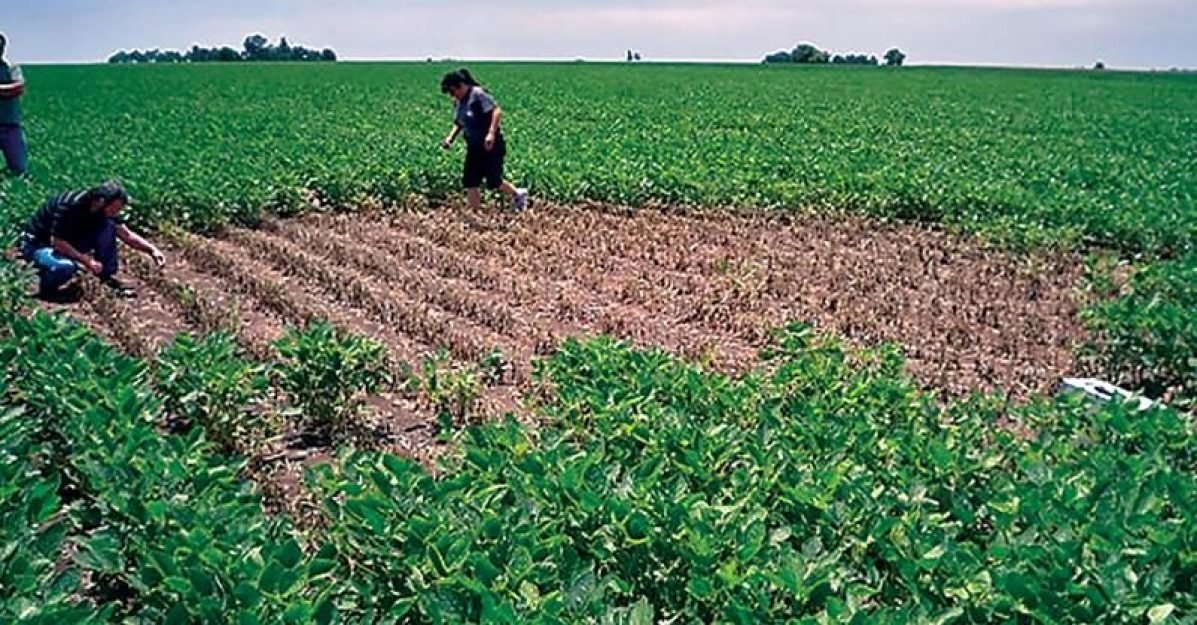 58346b78f5c9bf07df5c77a120842efd1615819768