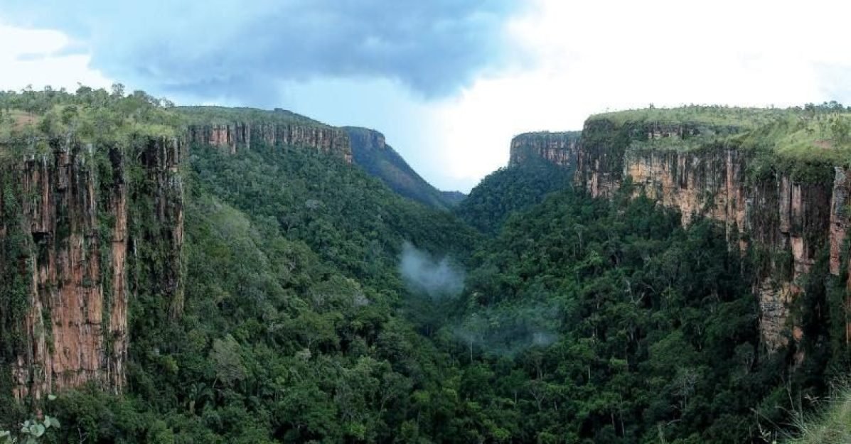 77e3e4202b5946e4814c41fb026394d31615819736