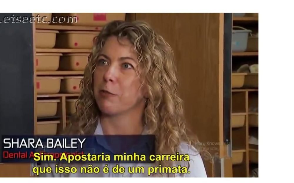 78479d00f62058b33866e9d6748956631533556116