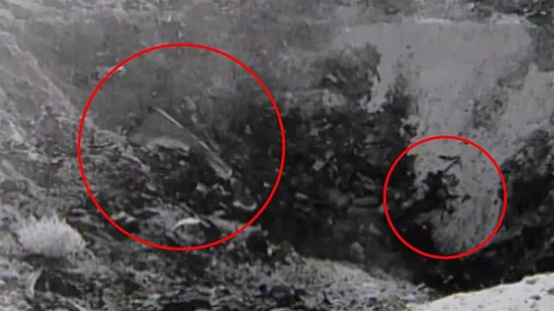 7a94a40e-d1df-4af4-aa95-3ff1f2a906c6