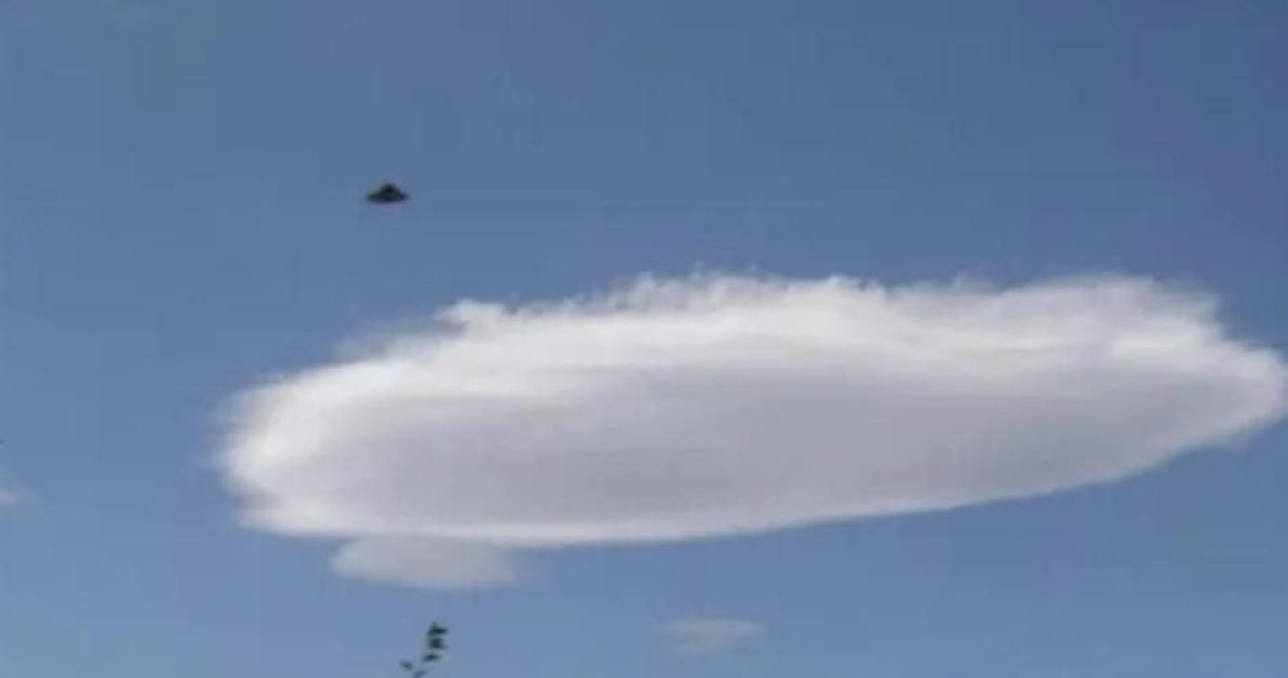 8026720cdd6148daa6b6ad1e36bd09f81656590635