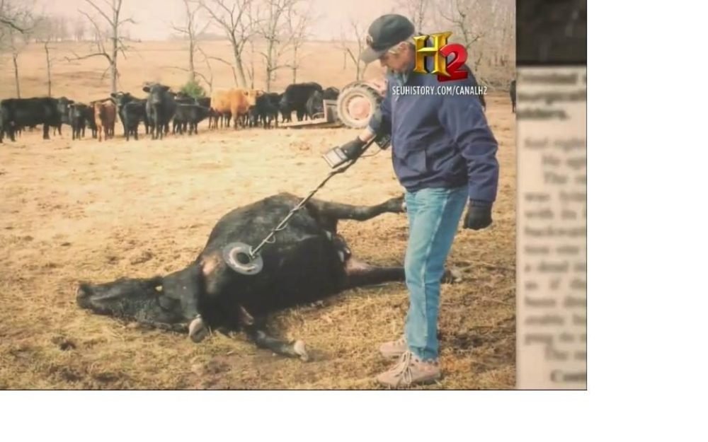 807d66453a9f7003a737f6d70261f29f1547058919