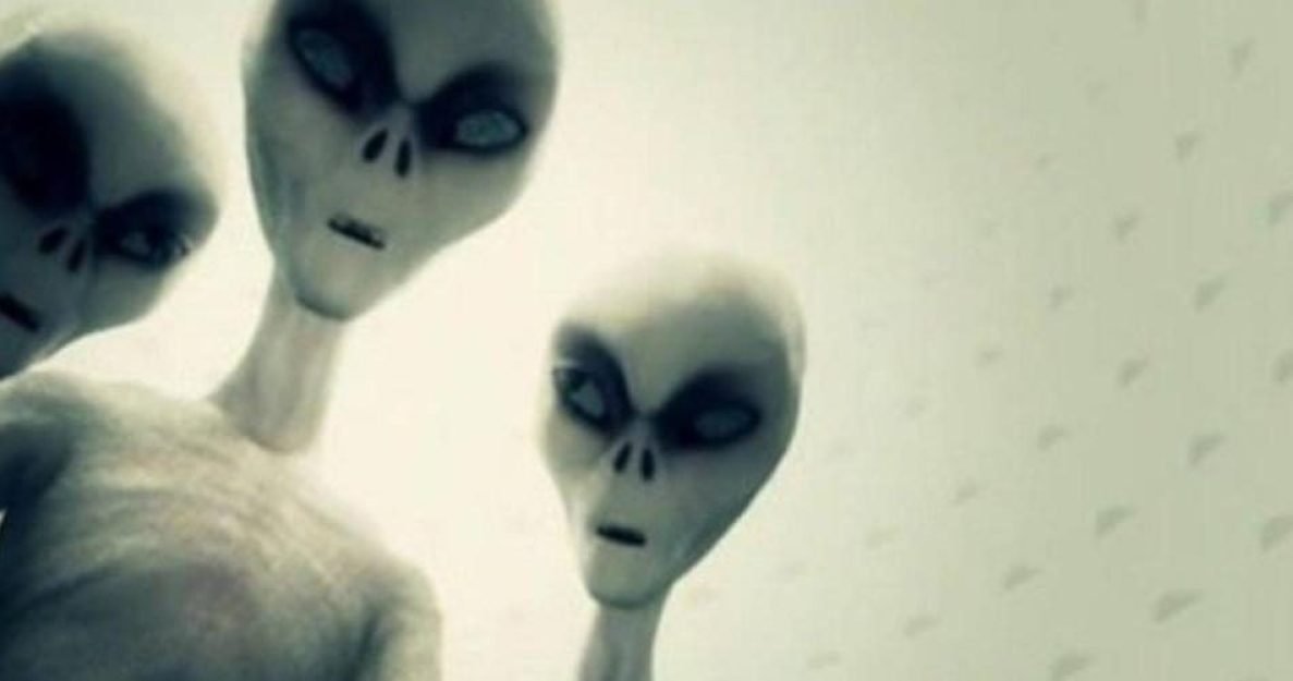 82031bdc56b40e97a3d5cf710ea9495a1669119194