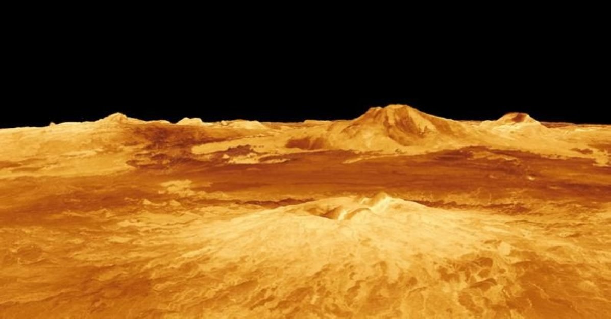 8563cd4627dd6d8ed80fef1463a37d6a1582464178