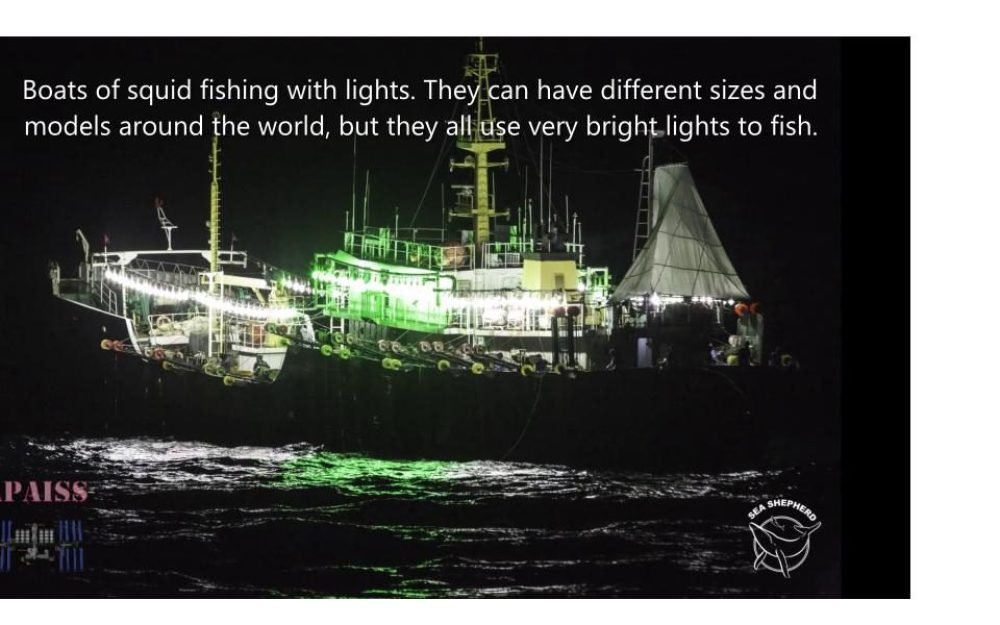 86ec496bf12ba5994dcae1eabbf11e9b1605958333