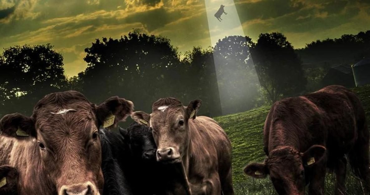 a06df6092097e56db3f073c5aff6fcc91670354610