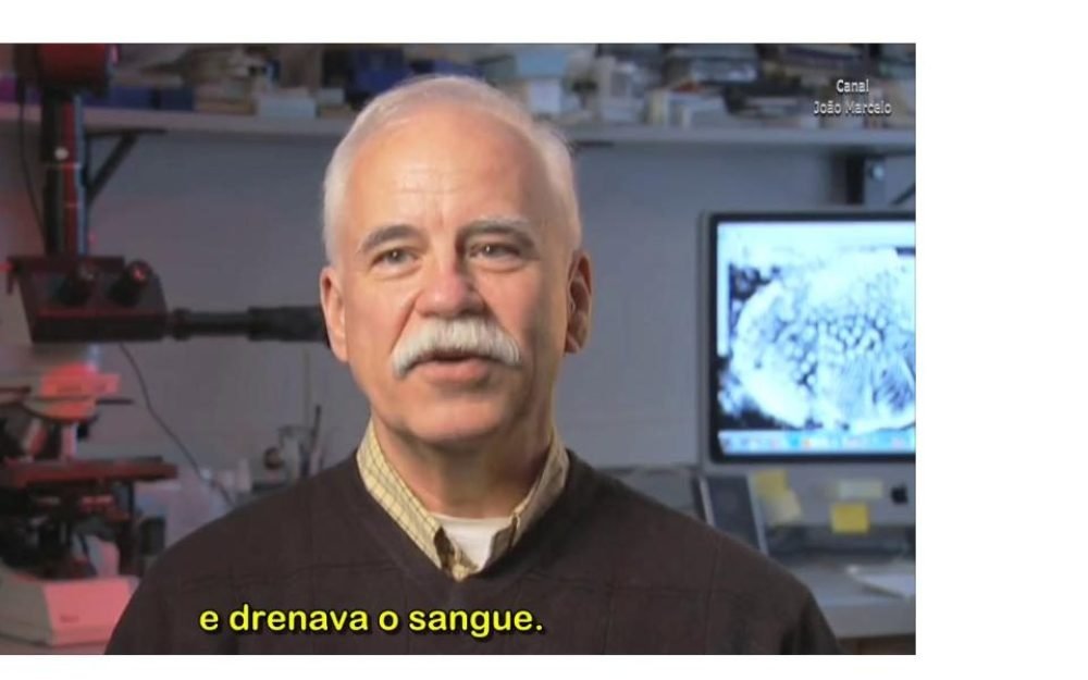 aa63a199fced40eb779c5adbf8b5b2291584042378