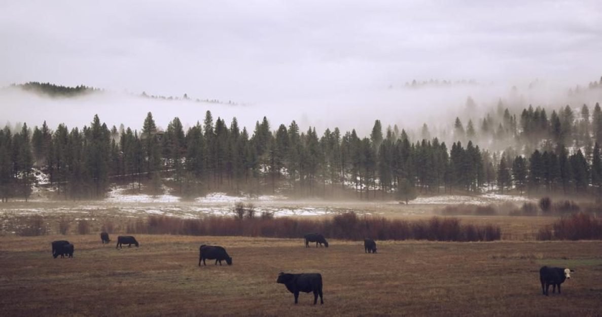 ba54393d626be5c1d797f5f71f9b34cd1647699691