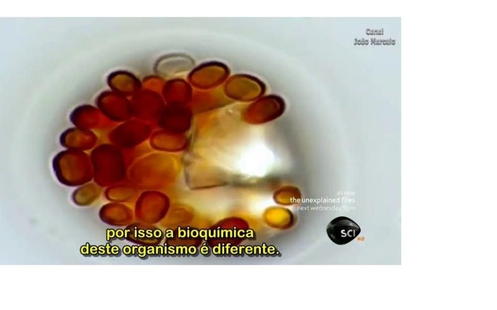 be4754a61a0b9218244fc14c297e5c771543427688