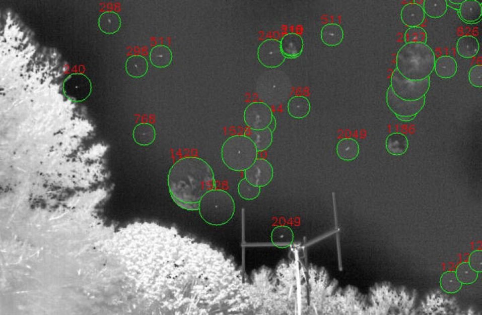 c1b10d1d-a655-47a2-bf1a-32be6df884b3