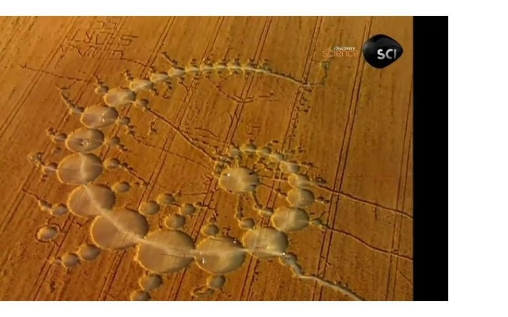 c79c61e507b94b3f8188215ac95a50cd1581272779