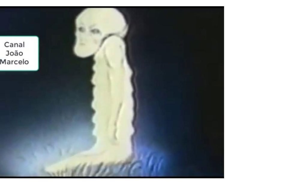 c80d97691fda69e4deedde5acb83be751533554469