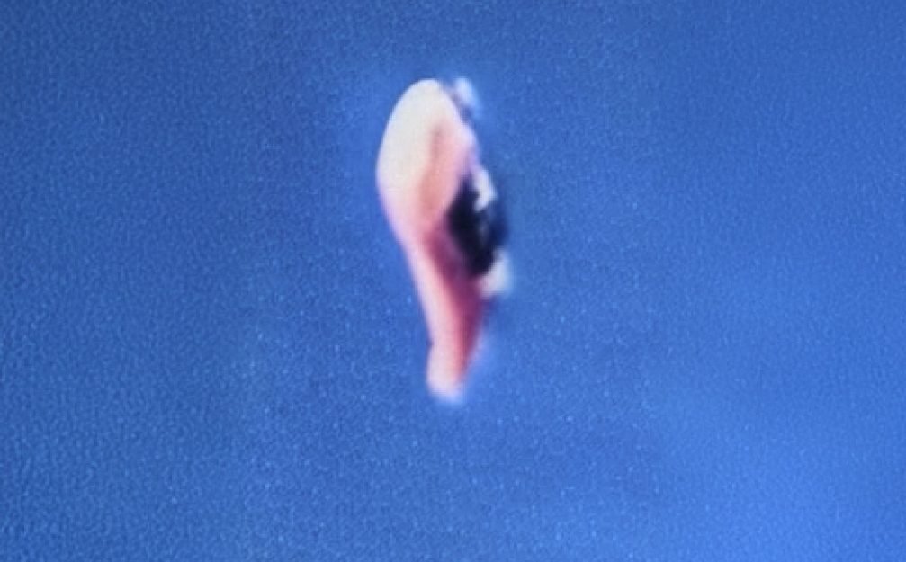 c9dea5e7-9605-442d-9588-bc23c23c0fab