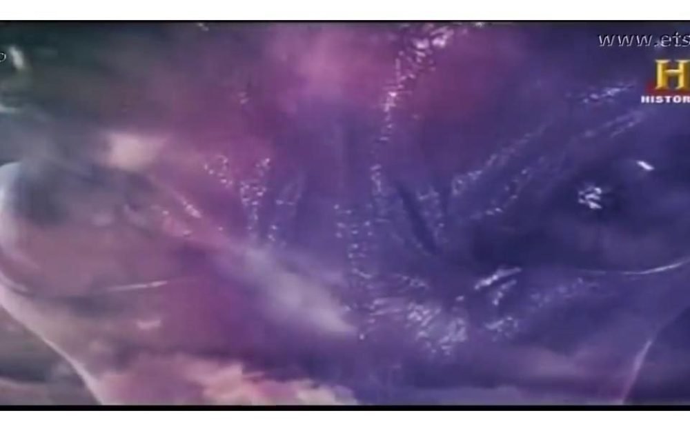 df1dd28d58f448da42ed75f30e67c9401556650576