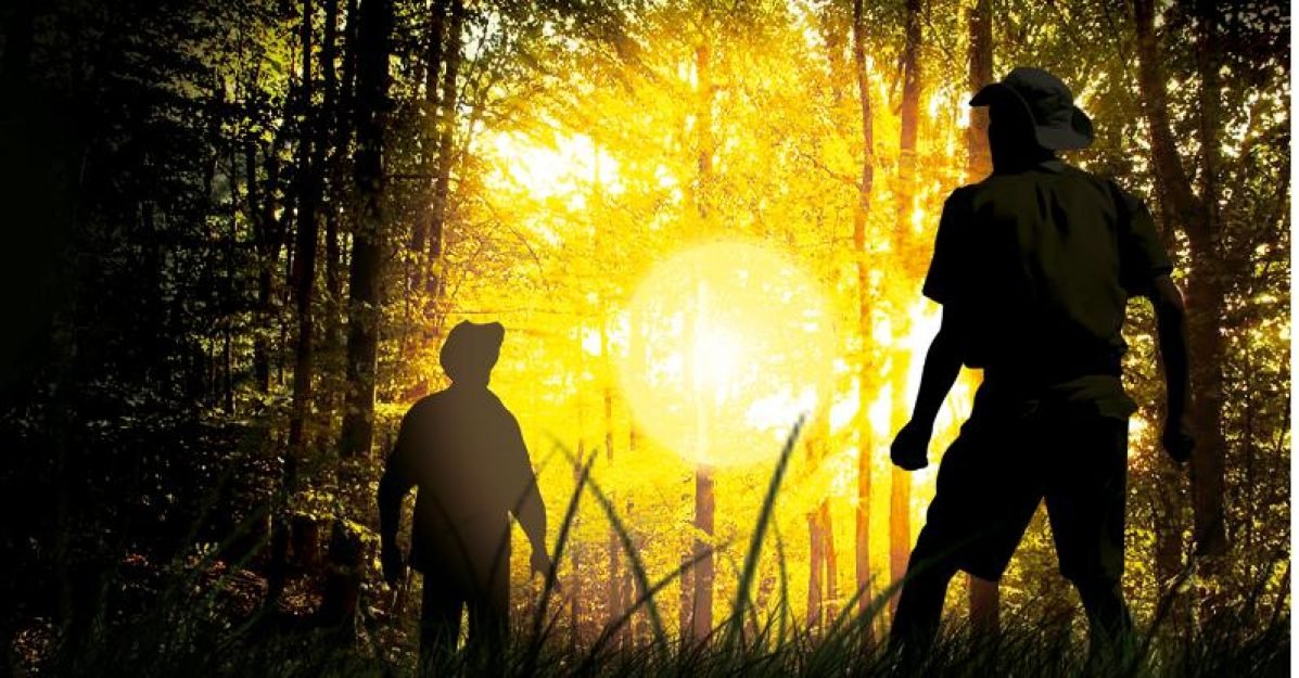 e1afcddd7af7d75e7039c2615bff9a431554987750