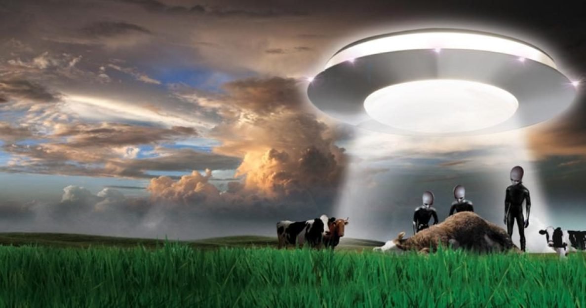 e4aca6105d827585f84391153fbac2581659542439