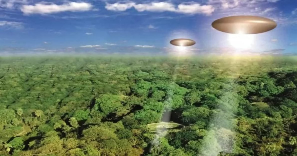 fb423b220dd3d7de1a314e2d78b1451e1645623740