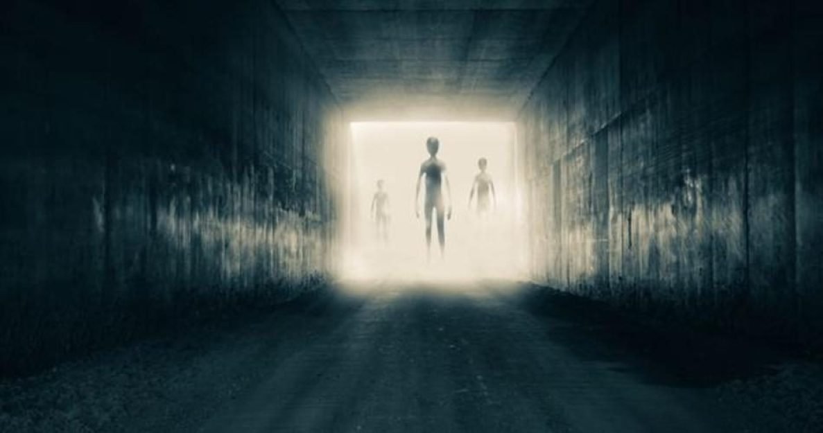 fee62cbddf63225ccfcb86b55010fd521668432713