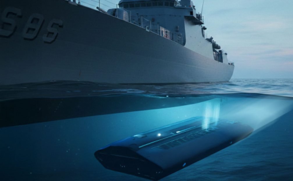 hay-una-inteligencia-no-humana-viviendo-en-los-oceanos-que-utiliza-osnis_78_485x301