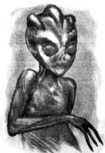 Novo desenho do ET capturado em Varginha que foi veiculado na rede Internet, segundo o artista pl&aacute;stico Thomas Feiner