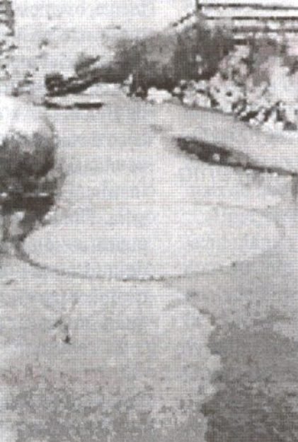 C&iacute;rculos no gelo, em Wells Gray Park, vistos e fotografados nos anos 70