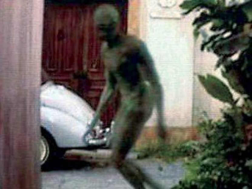 Enfim, esclarecido o