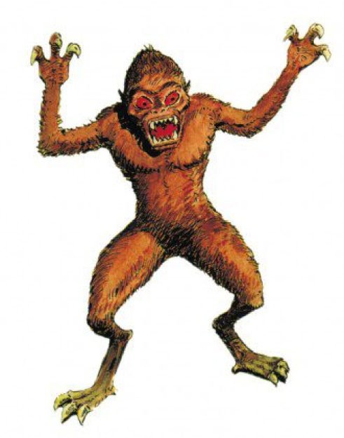 Chupacabras: Monstro devorador ou pura fic&ccedil;&atilde;o