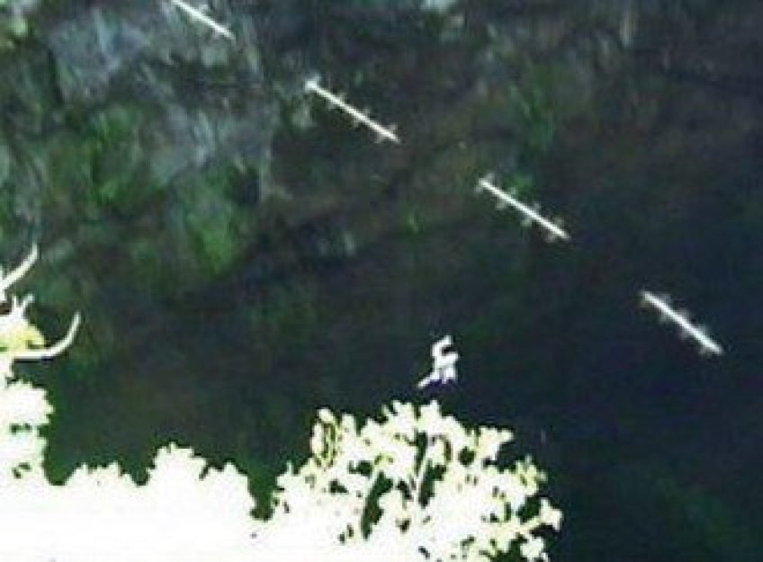 Rods: Uma Nova Forma de Vida