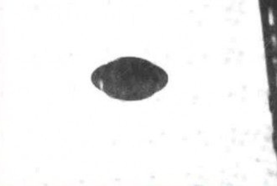 Foto feita pelo leitor Heiderlins Mesquita Luz, no Bairro de Pavuna, Rio de Janeiro, em 14 de agosto passado