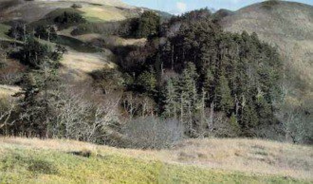 Montanhas pr&oacute;ximas a Dalnegorsk, onde houve o acidente