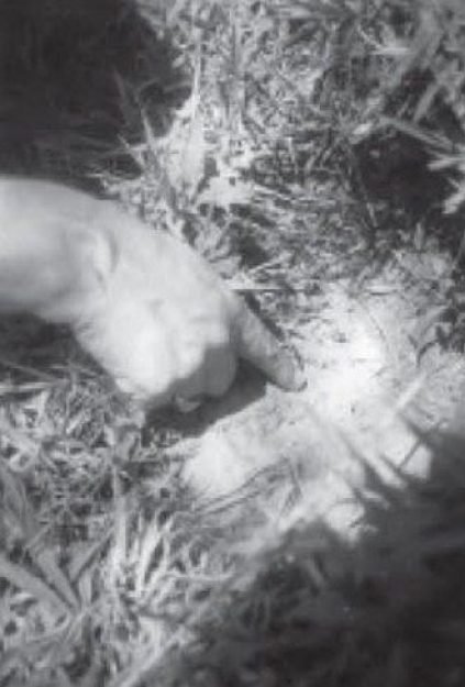 Ben&iacute;tez mostra o formigueiro que diz ser marca de pouso