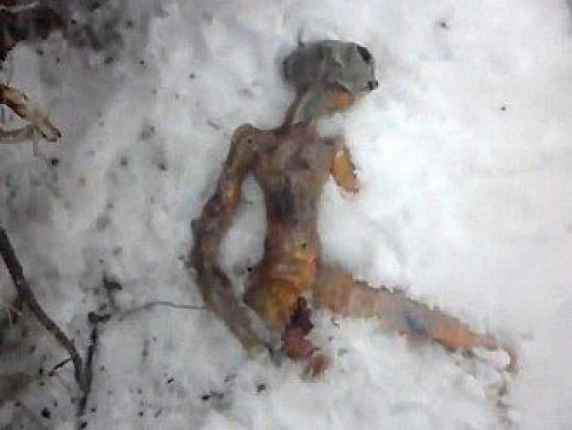 Os fraudadores da filmagem do falso ET usaram p&atilde;o e peda&ccedil;os de frango para montar o boneco