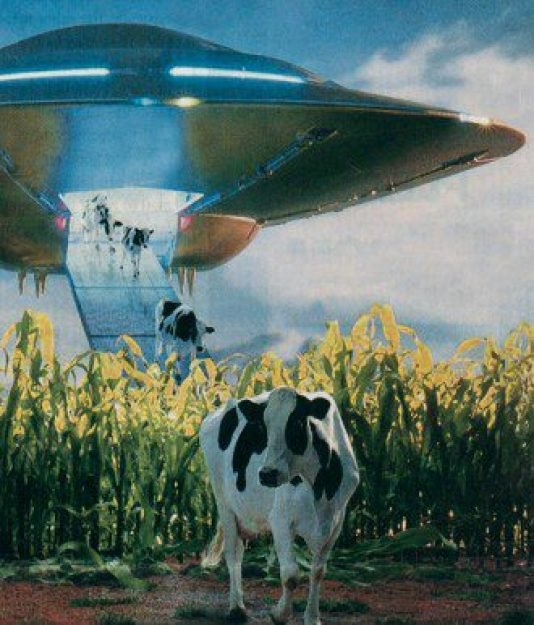 &Eacute; not&oacute;rio o interesse de nossos visitantes por amostras de material de nossos solos e animais