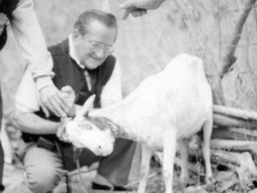 Reginaldo de Athayde, incans&aacute;vel ca&ccedil;ador de UFOs e Chupacabras no Cear&aacute;, &agrave;s voltas com naves em Fortaleza